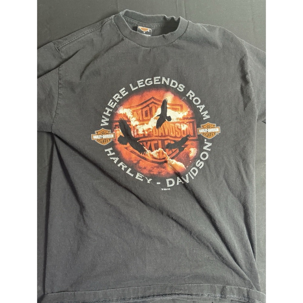 Vintage Y2K Harley-Davidson St. Louis MO Black Tee M Biker